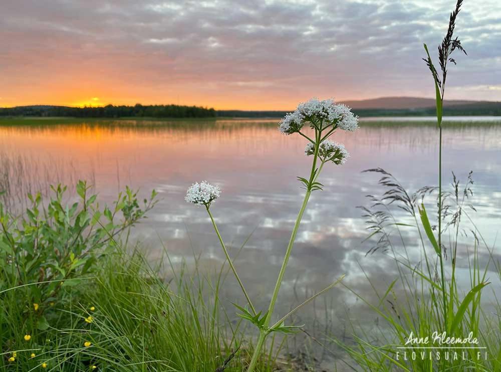 Milis Chalet Яллас'ярві Екстер'єр фото